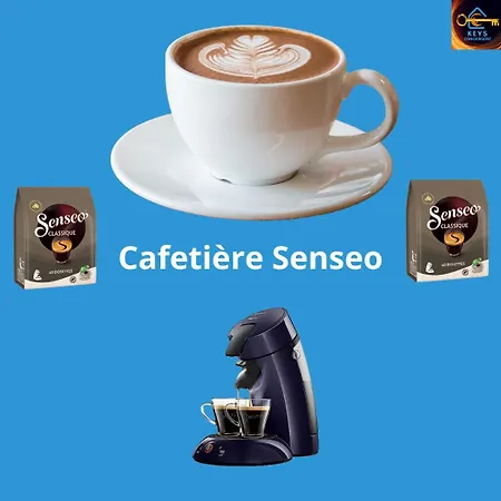 Le Cocon Centre Au Calme Oc Keys 34 公寓 卡斯泰尔诺达里