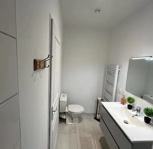 Διαμέρισμα Le Cocon Centre Au Calme Oc Keys 34 Castelnaudary